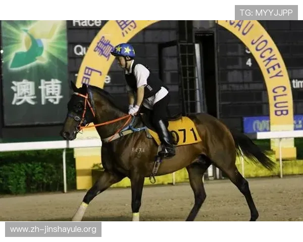 澳门赛马玩法详解：新手必看完整攻略与技巧分享